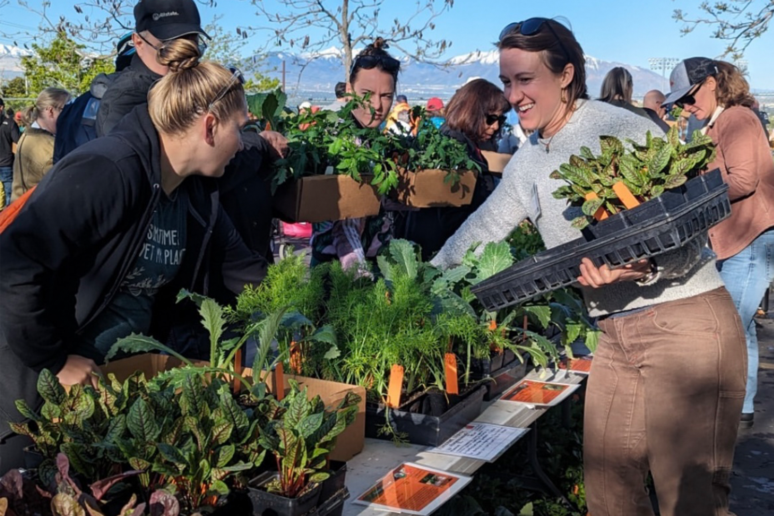 Image of an organic farm market